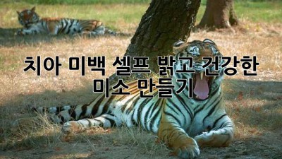 치아 미백 셀프: 밝고 건강한 미소 만들기