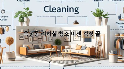 옥정동 지하실 청소, 이젠 걱정 끝! ✨